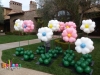 Balloon Flower Garden
